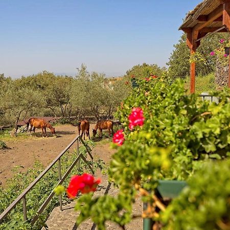Апартаменти Horse House Ragalna Екстер'єр фото