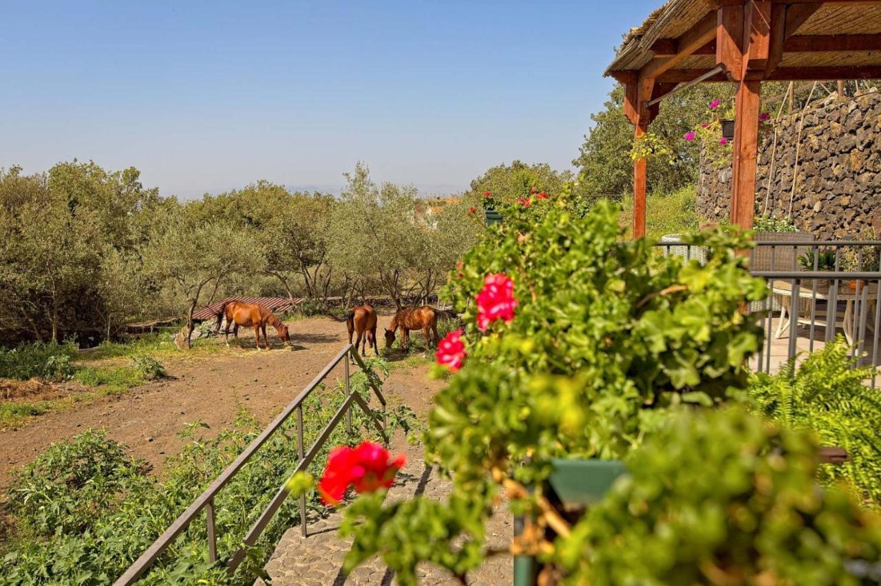 Апартаменти Horse House Ragalna Екстер'єр фото